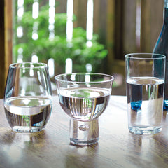 Sake Glass Comparison Set